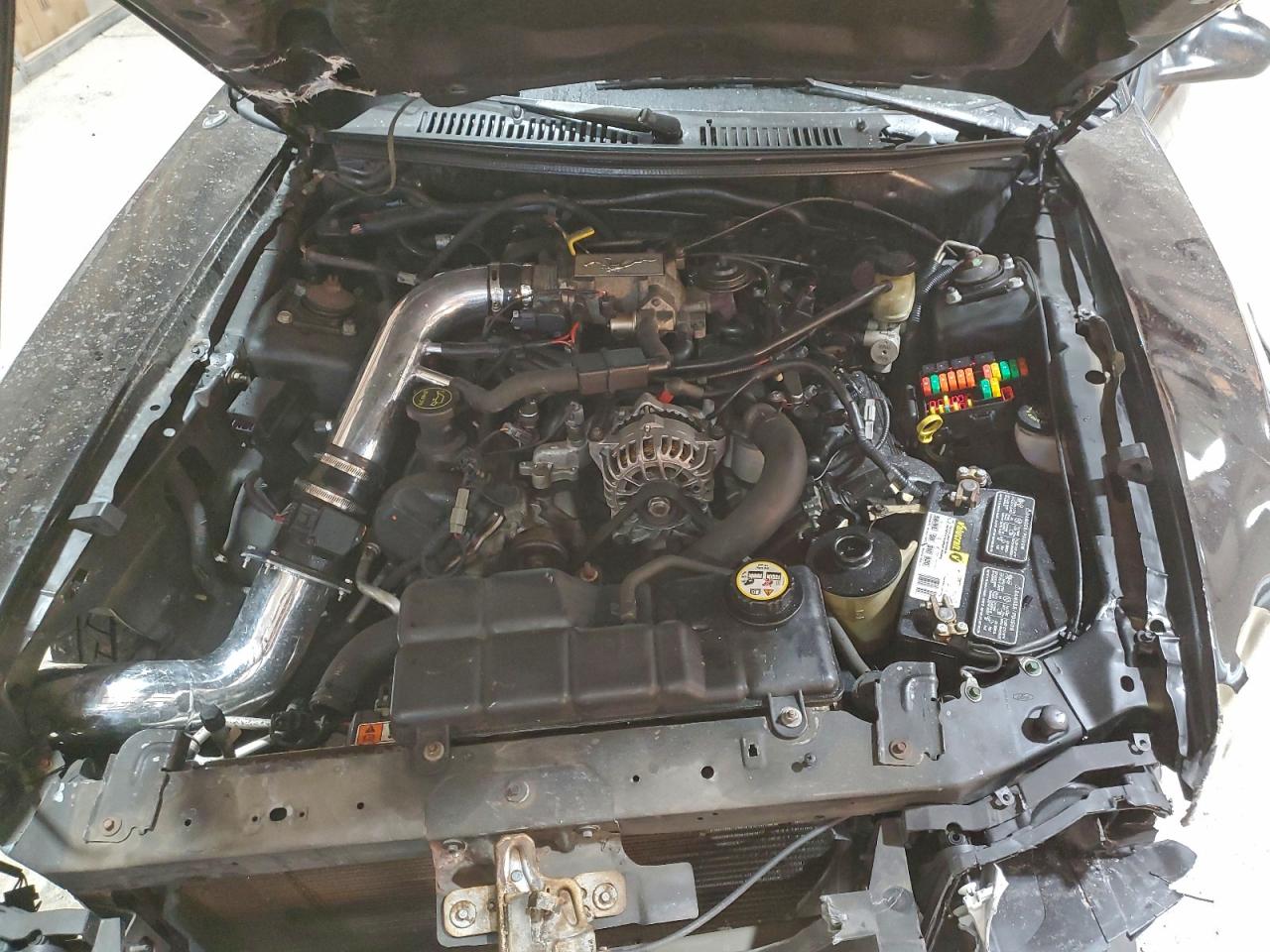 2004 FORD MUSTANG GT photo 11