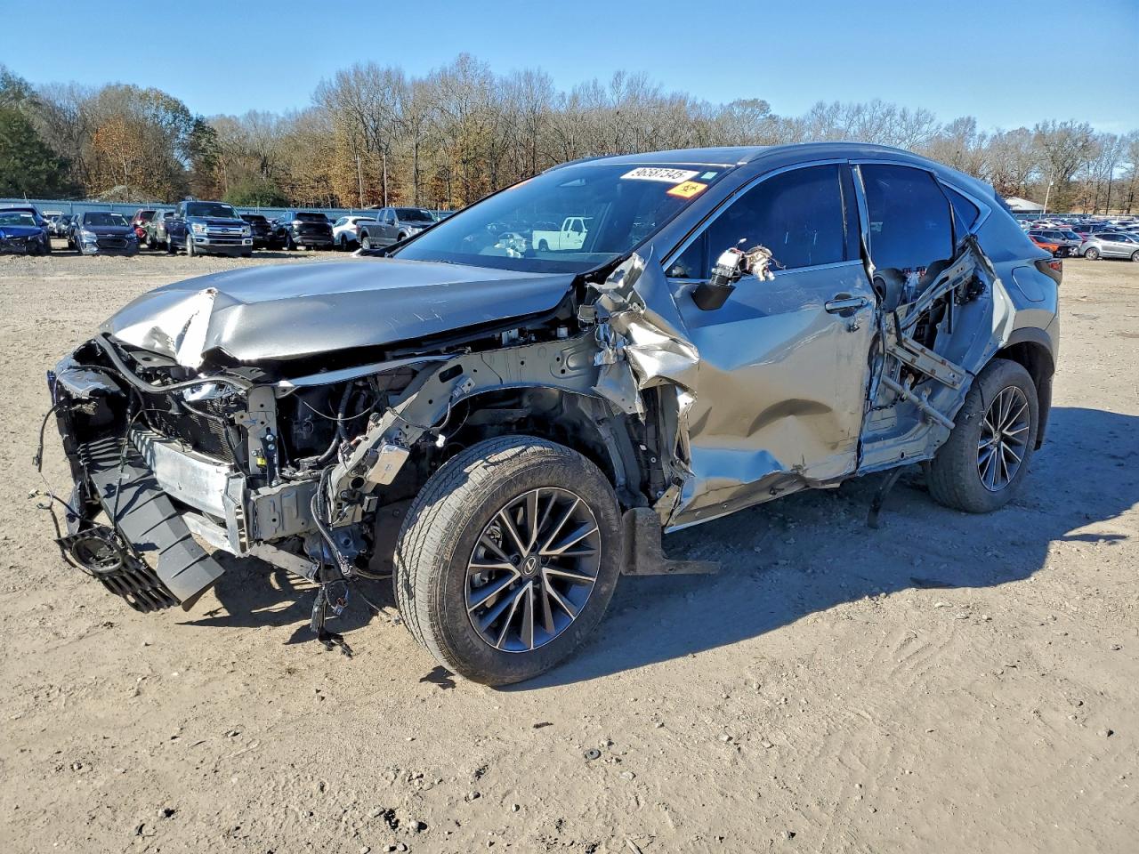 2024 LEXUS NX