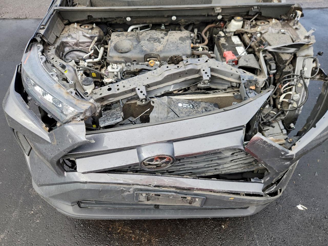 2019 TOYOTA RAV4 LE photo 11