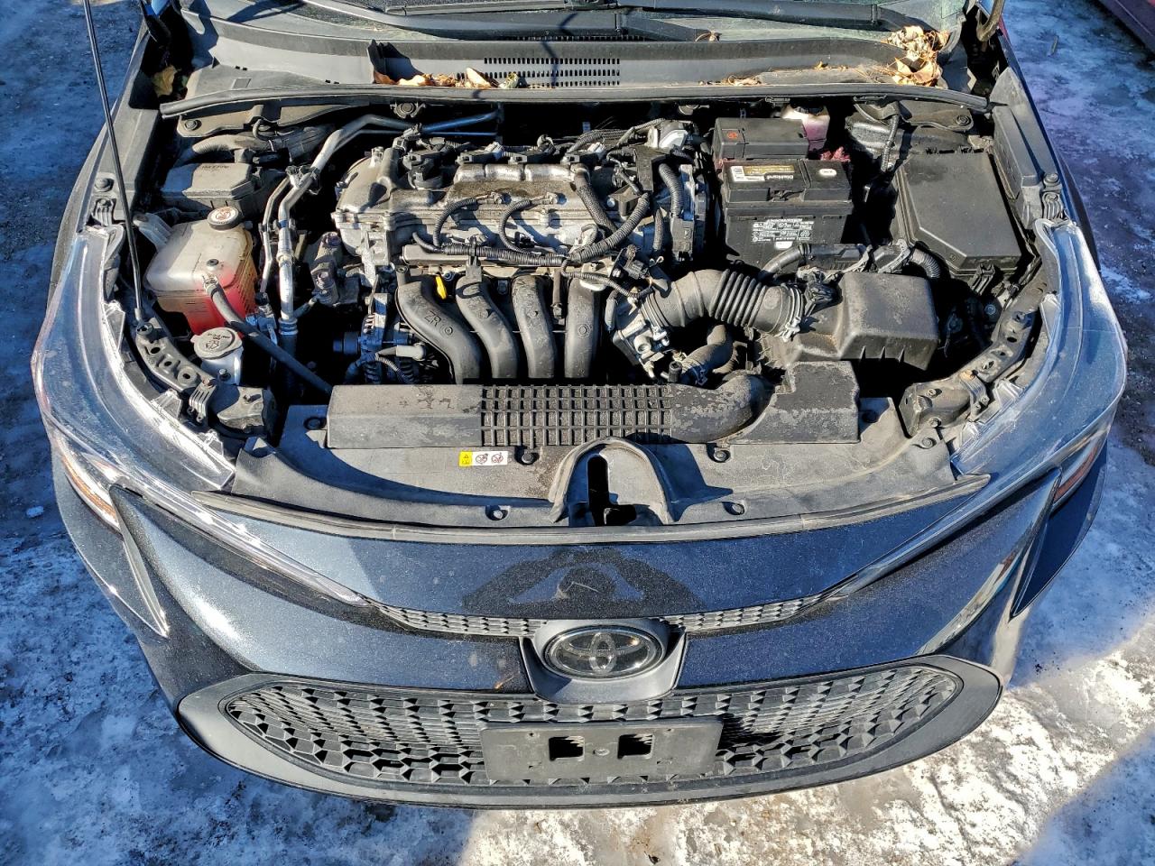 2020 TOYOTA COROLLA LE photo 11
