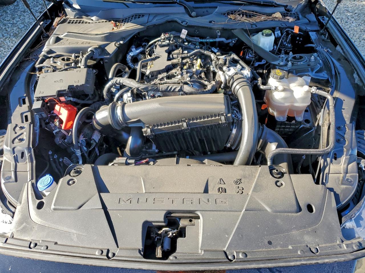 2024 FORD MUSTANG photo 11