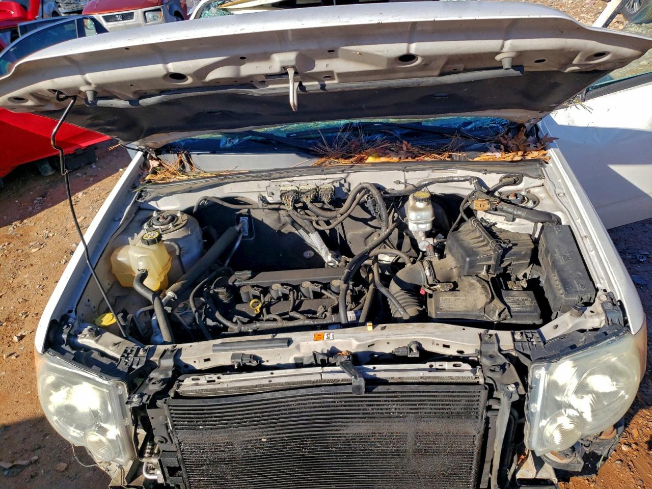 2010 FORD ESCAPE XLT photo 12
