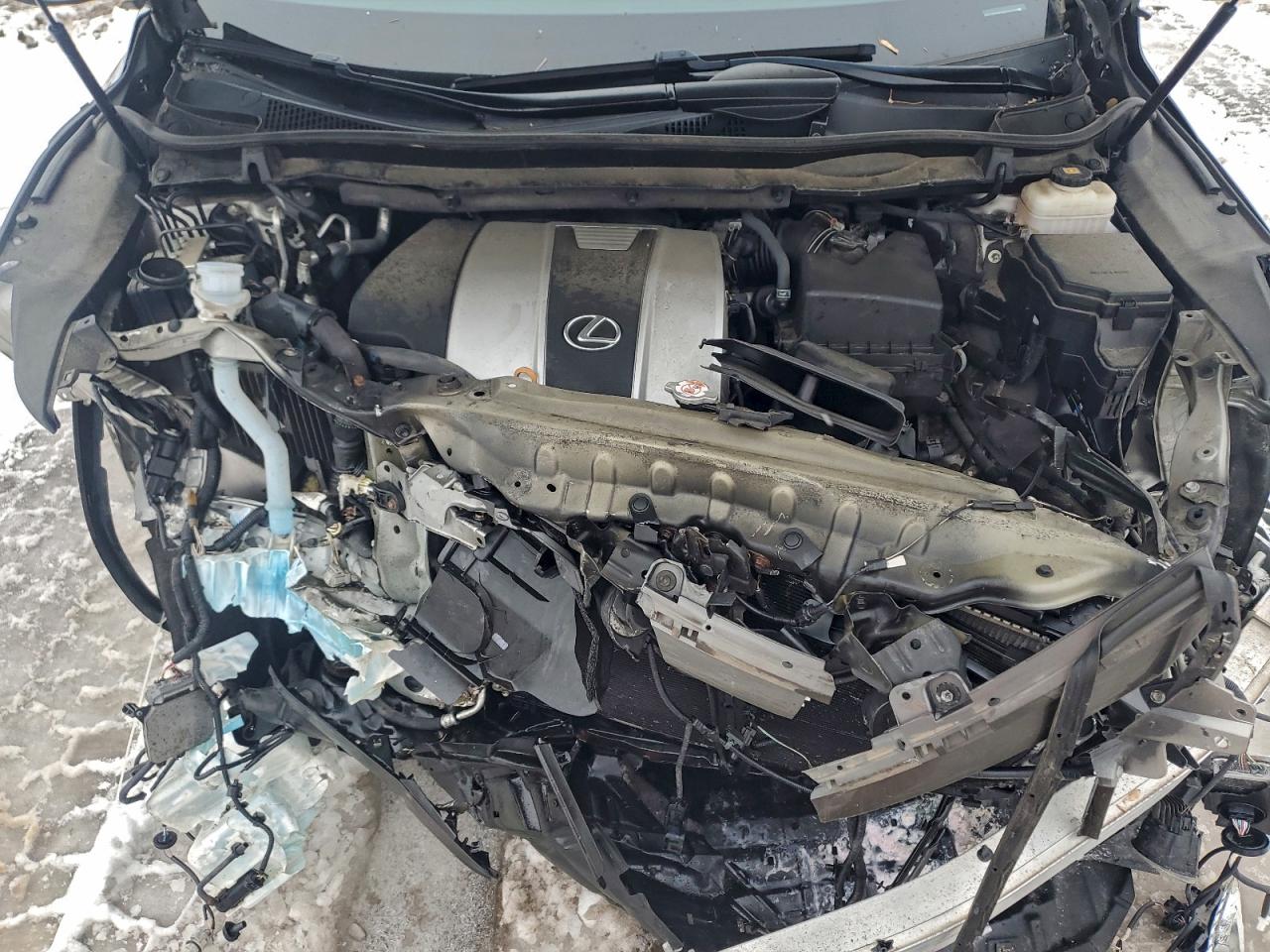 2019 LEXUS RX 350 BASE photo 11