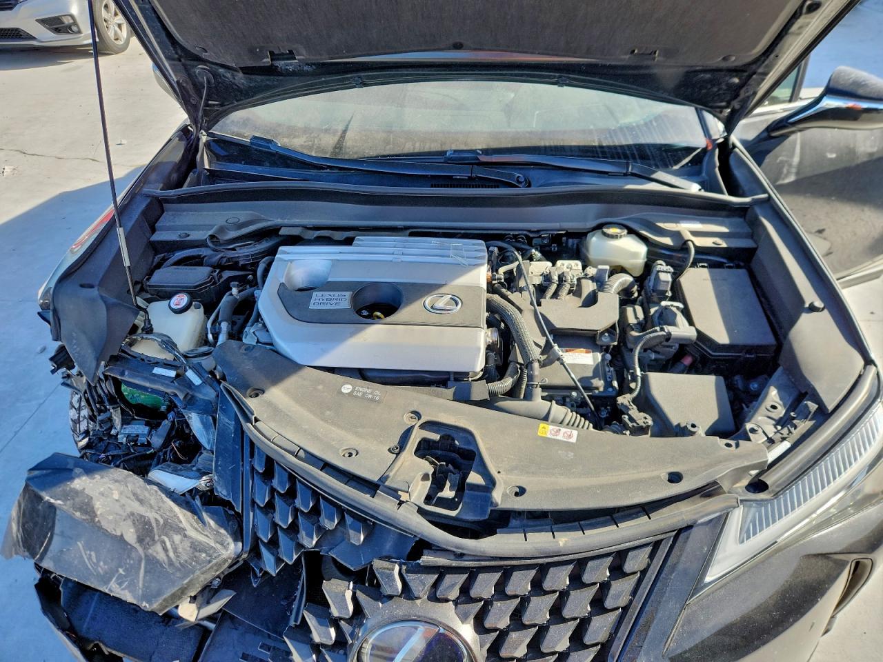 2019 LEXUS UX 250H photo 12