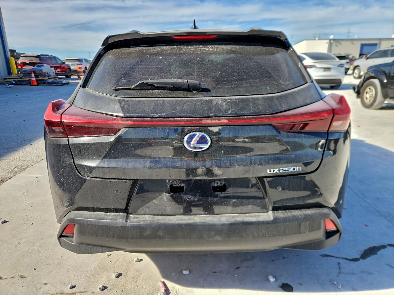 2019 LEXUS UX 250H photo 6