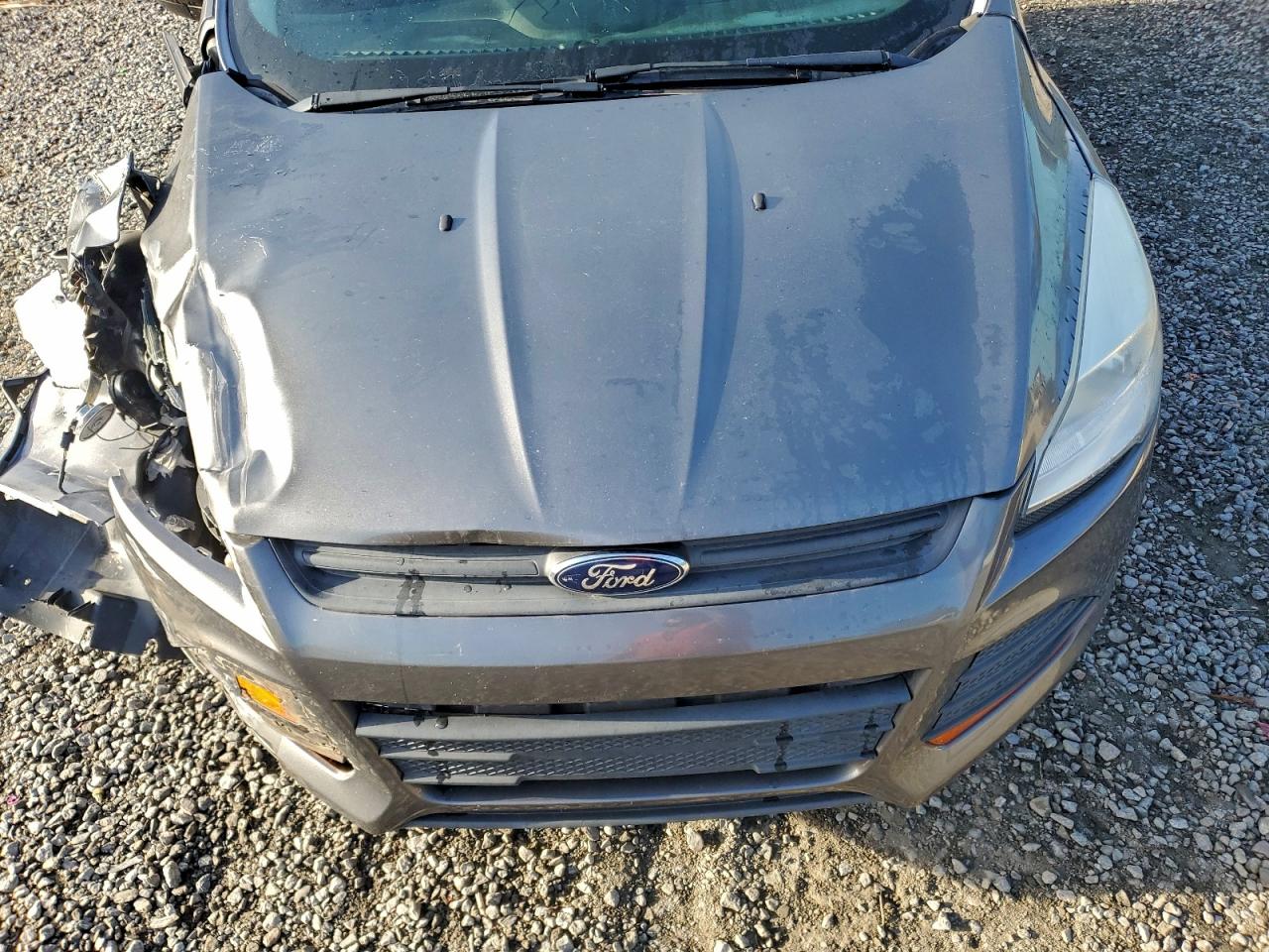 2014 FORD ESCAPE S photo 23