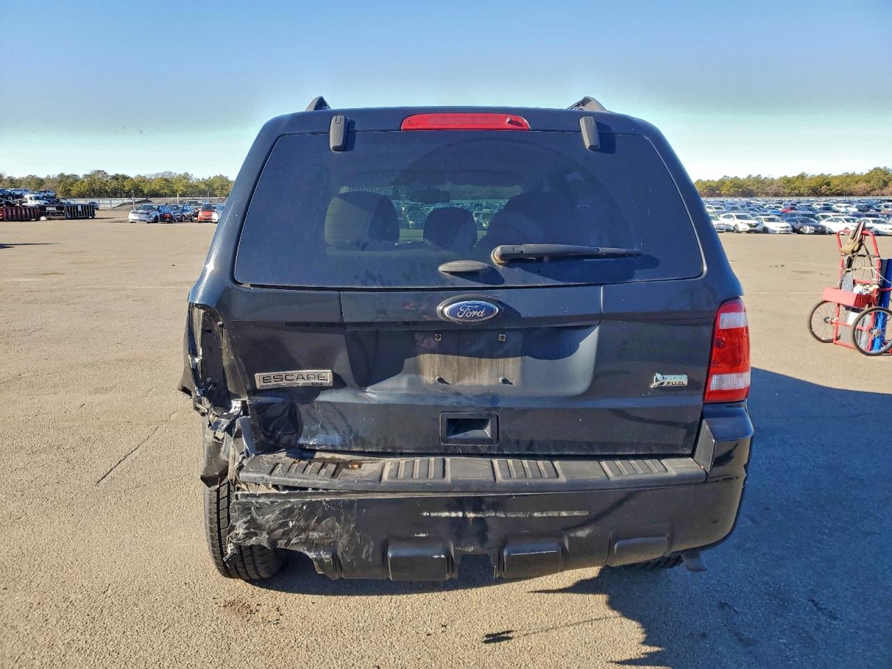 2010 FORD ESCAPE XLT photo 6