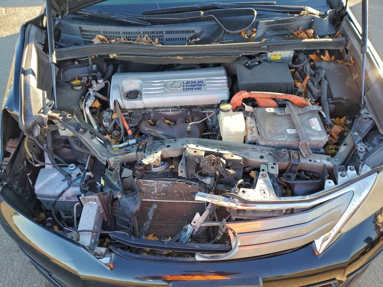 2010 LEXUS HS 250H photo 11