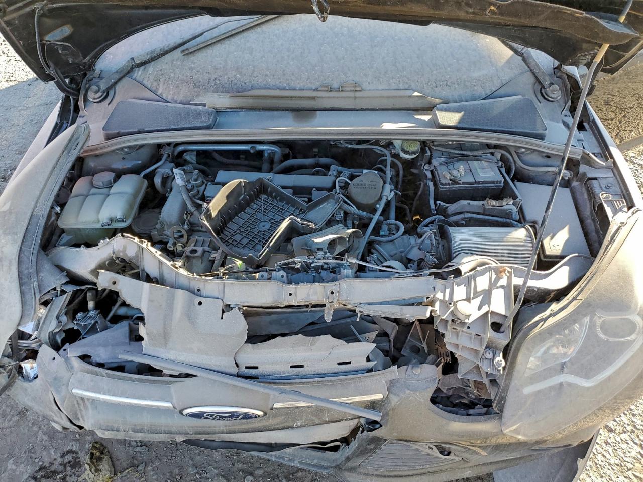 2014 FORD FOCUS SE photo 11
