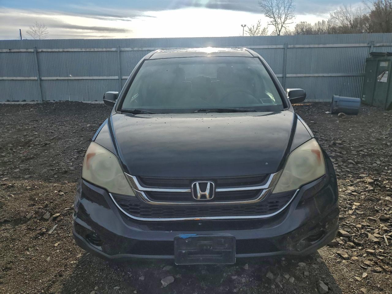 2010 HONDA CR-V EX photo 5