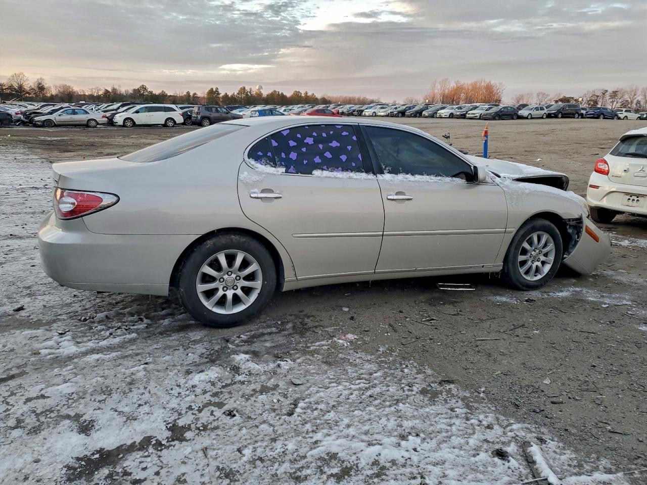 2002 LEXUS ES 300 photo 3