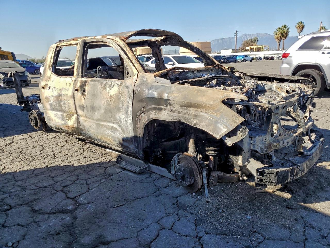 2025 TOYOTA TACOMA DOUBLE CAB photo 4