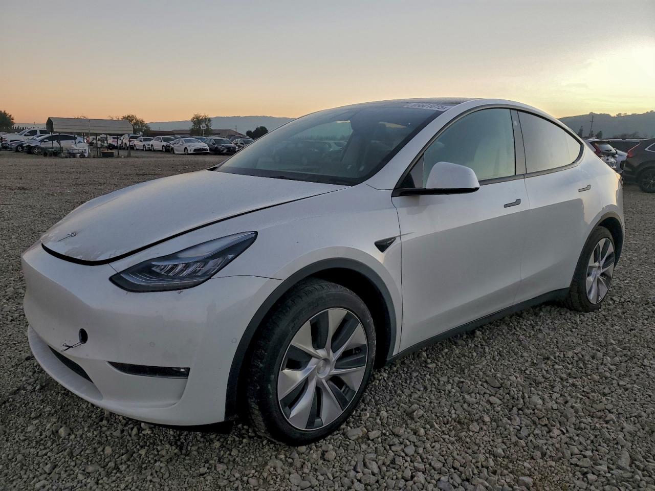 2021 TESLA MODEL Y