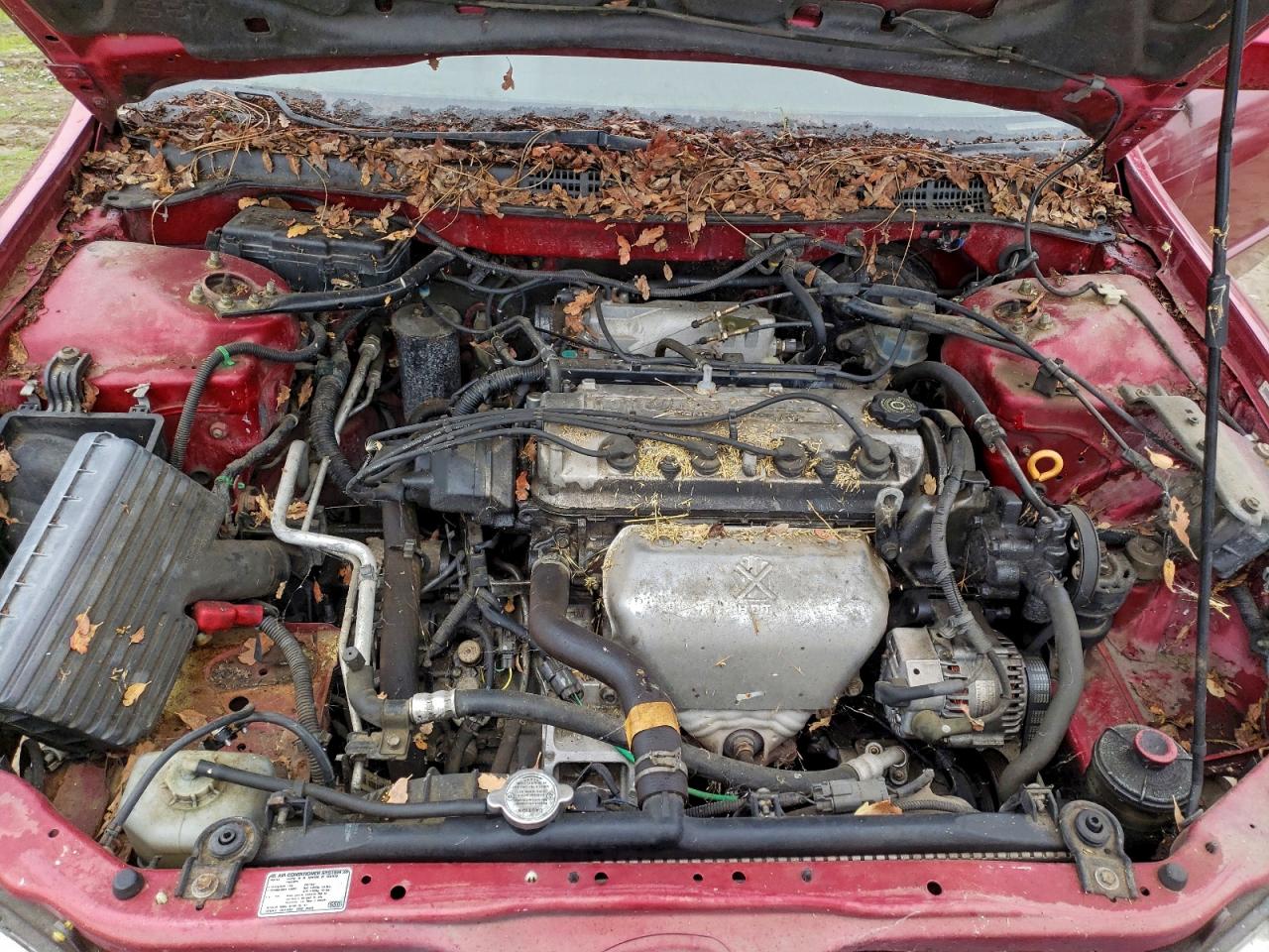 2002 HONDA ACCORD EX photo 11