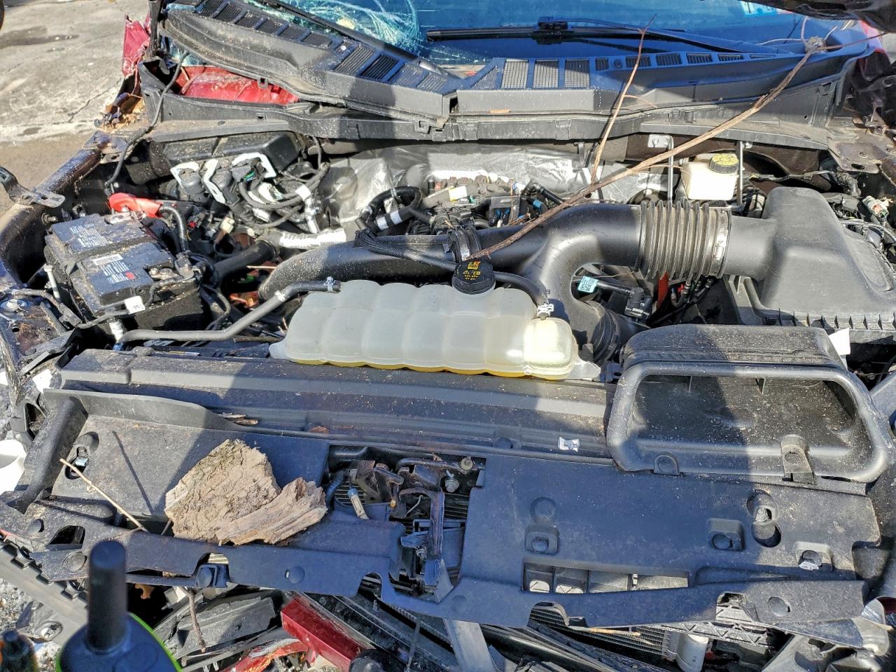 2024 FORD F150 XLT photo 11