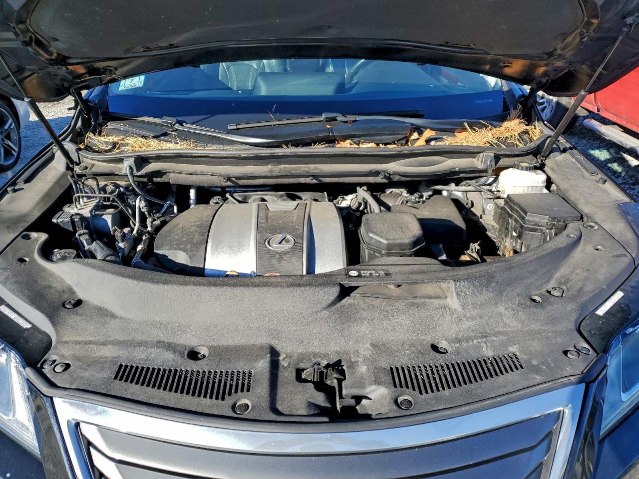 2019 LEXUS RX 350 BASE photo 12