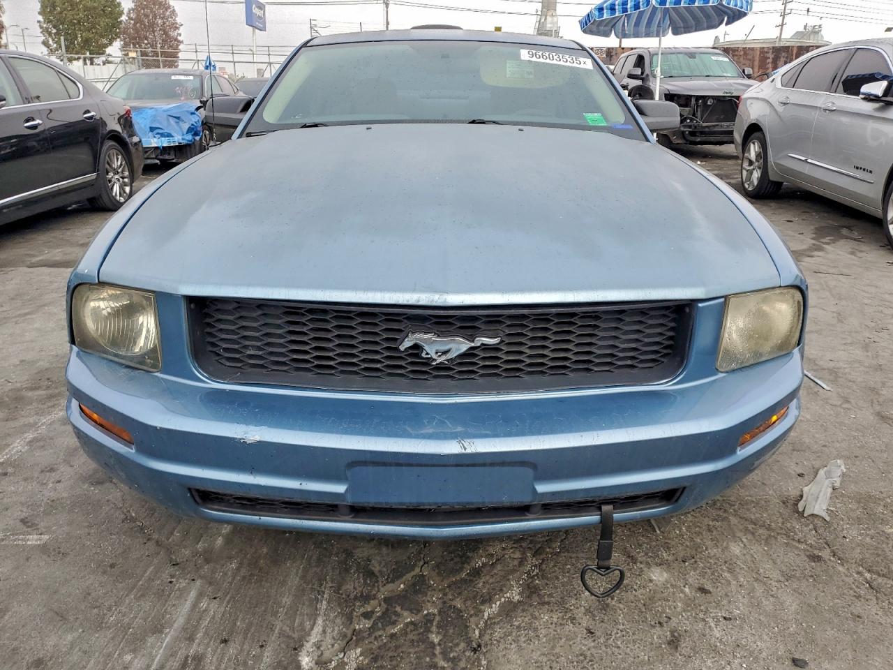2005 FORD MUSTANG photo 5