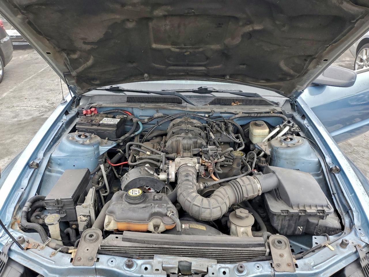 2005 FORD MUSTANG photo 11