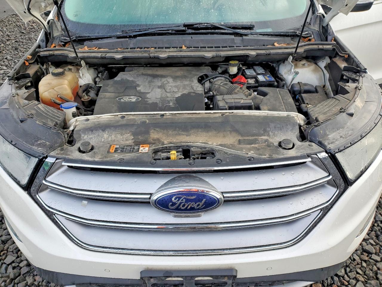 2015 FORD EDGE TITANIUM photo 12