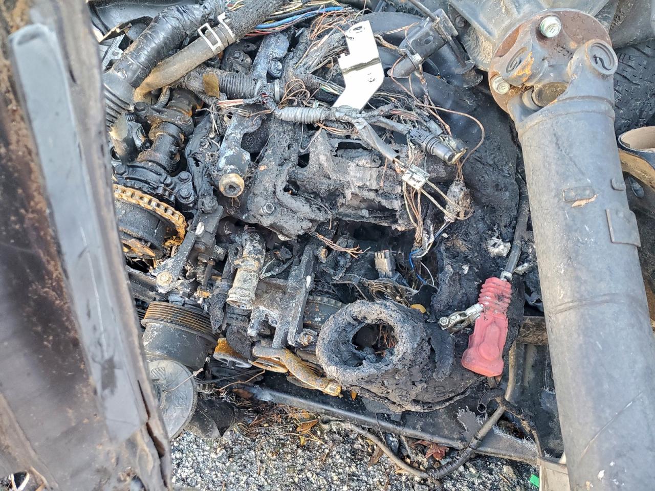2019 TOYOTA TACOMA ACCESS CAB photo 21
