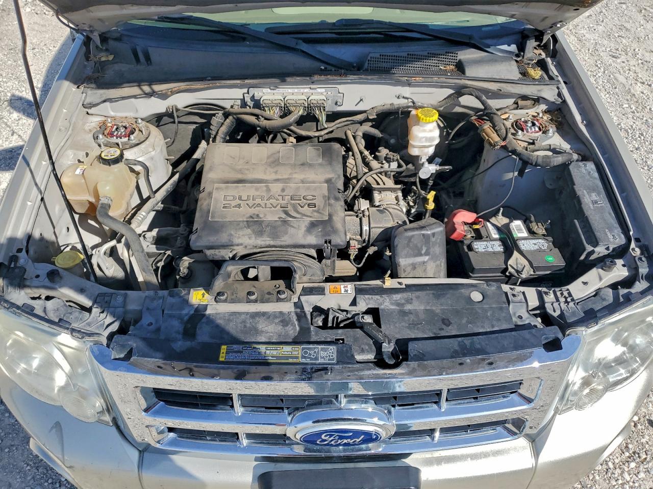 2011 FORD ESCAPE XLT photo 12