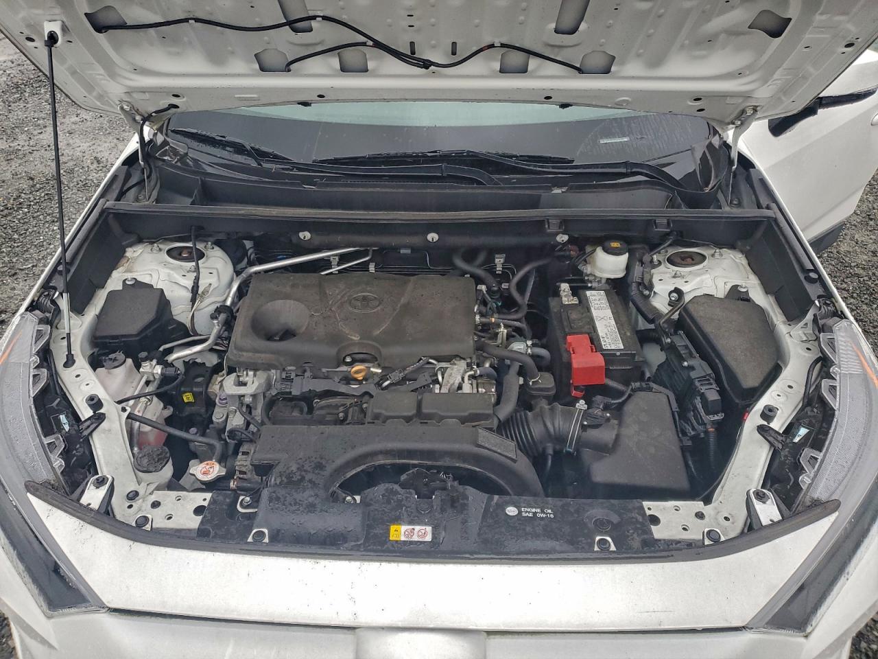 2019 TOYOTA RAV4 LE photo 12
