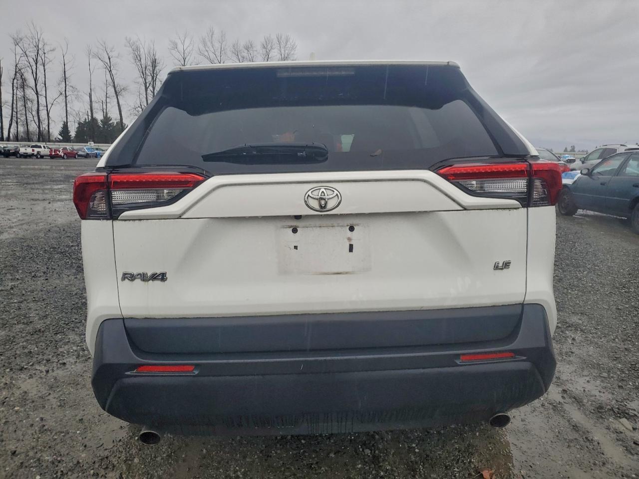 2019 TOYOTA RAV4 LE photo 6