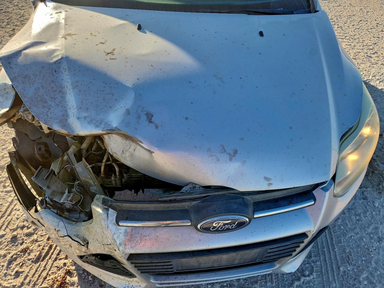 2014 FORD FOCUS SE photo 11