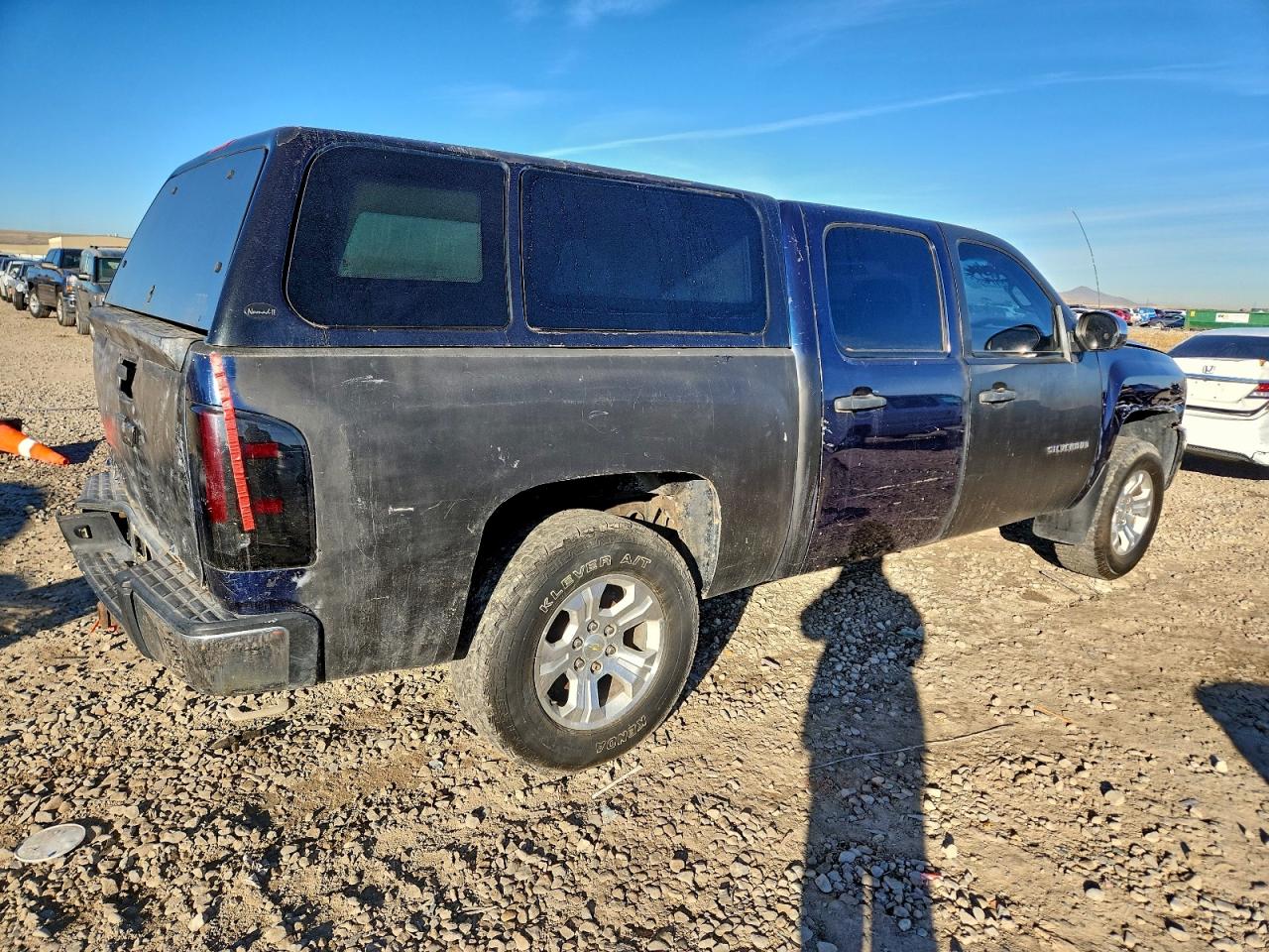 2010 CHEVROLET SILVERADO K1500 LS photo 3