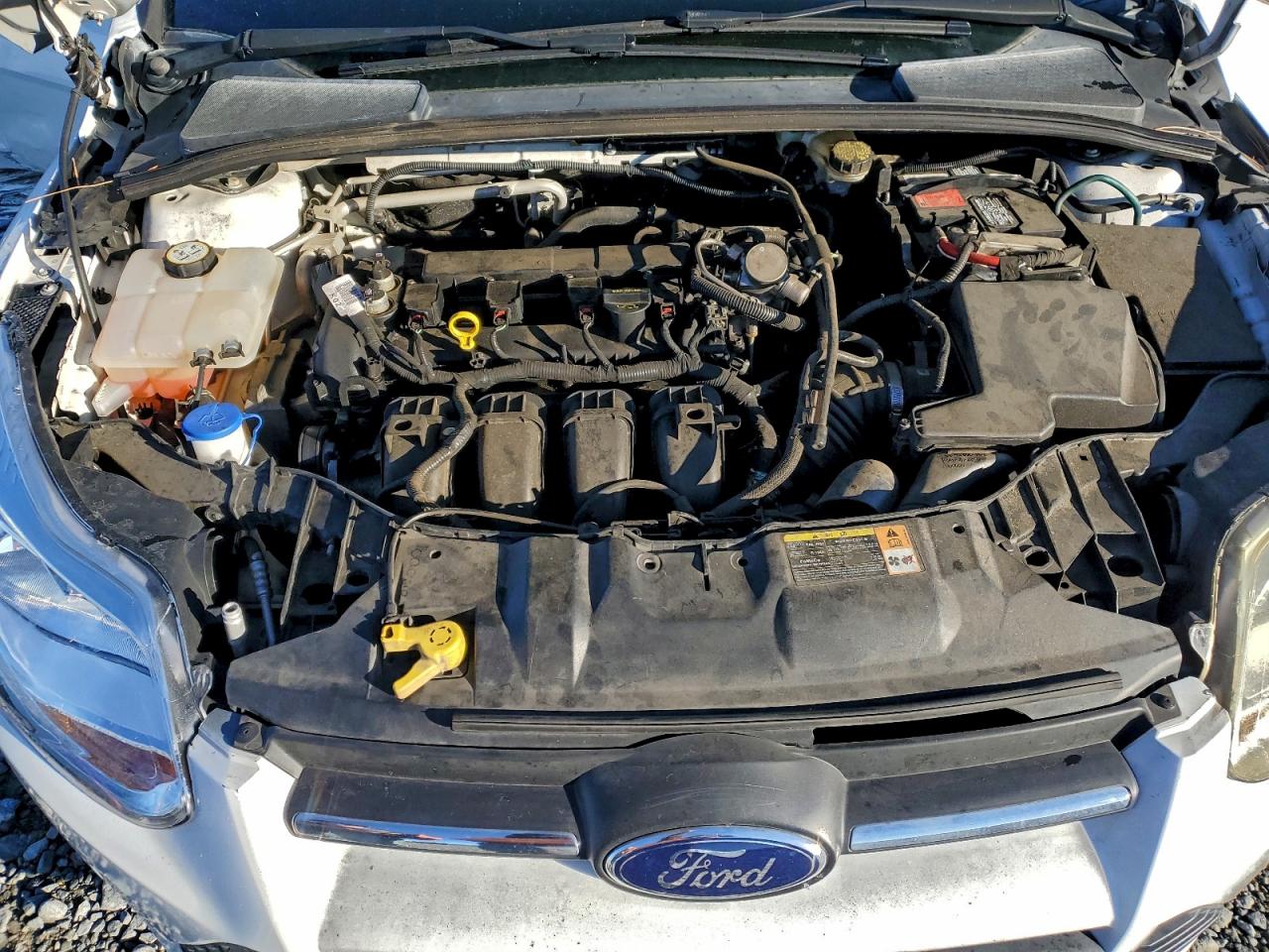 2014 FORD FOCUS SE photo 11