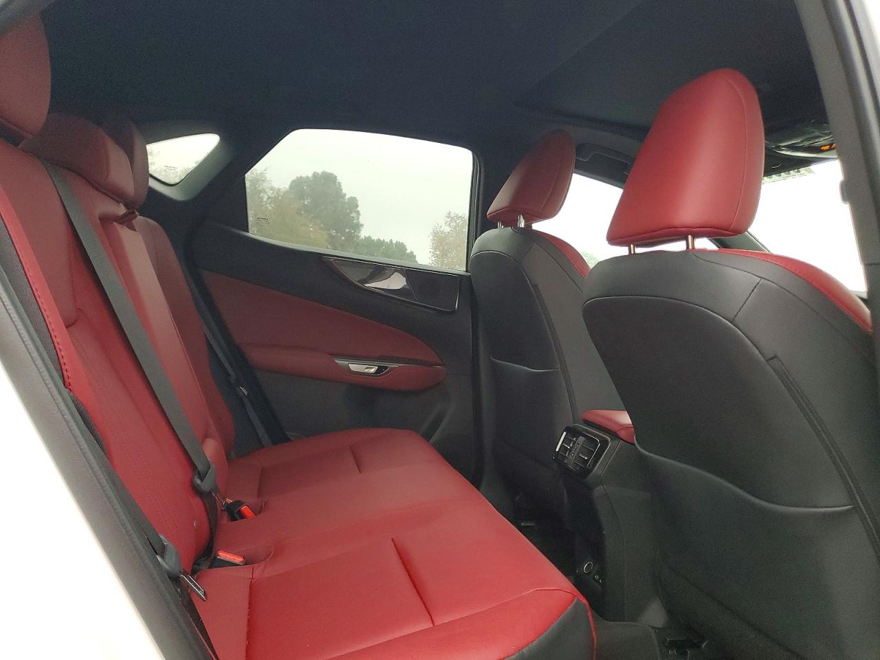2025 LEXUS NX 250 PREMIUM photo 31