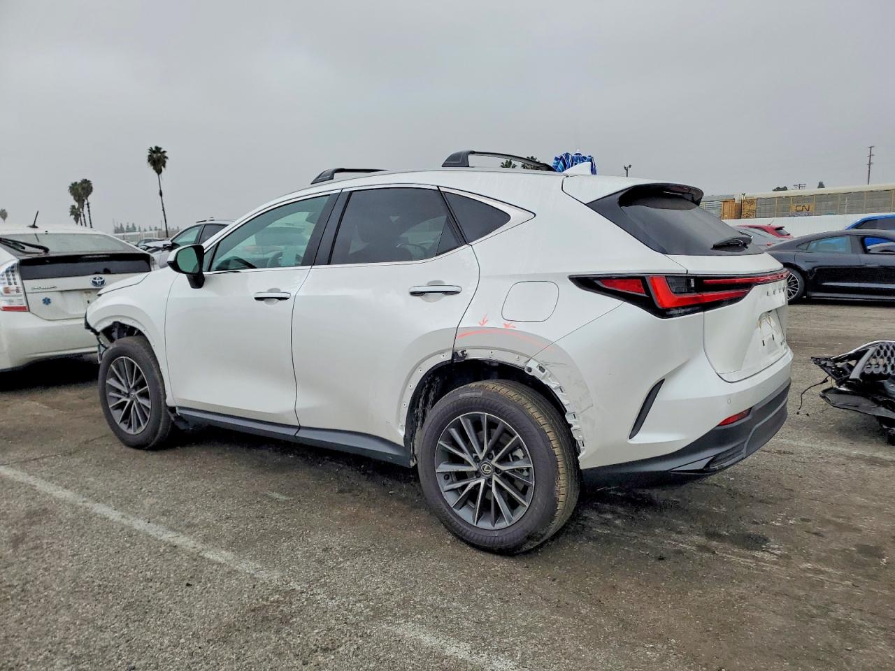 2025 LEXUS NX 250 PREMIUM photo 4