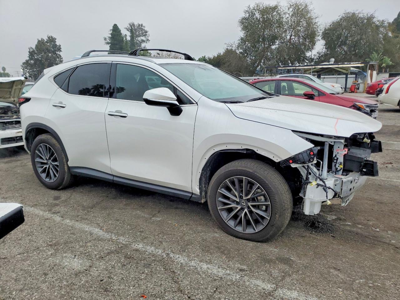 2025 LEXUS NX 250 PREMIUM photo 10