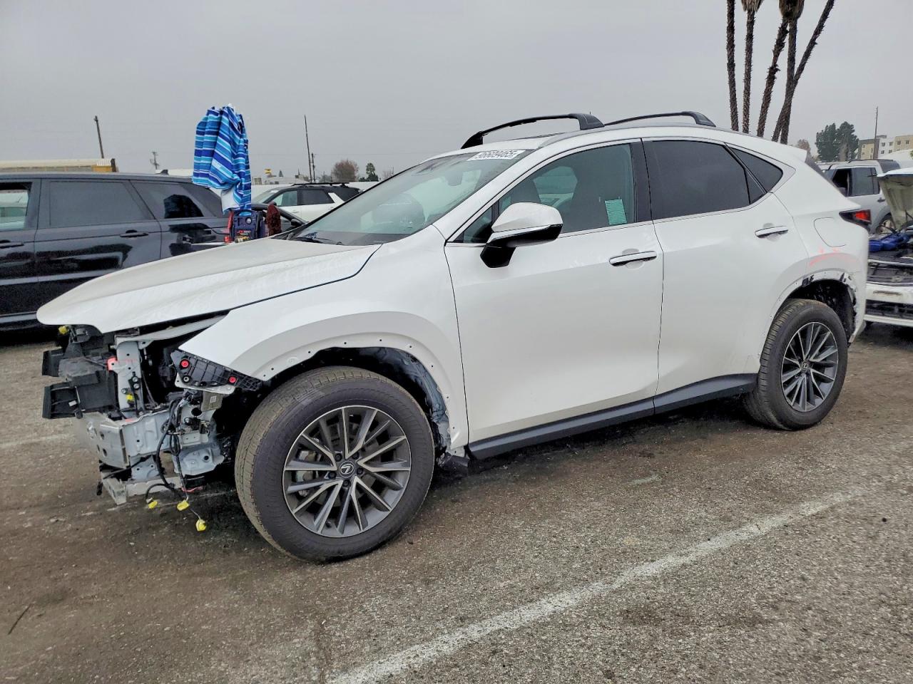 2025 LEXUS NX