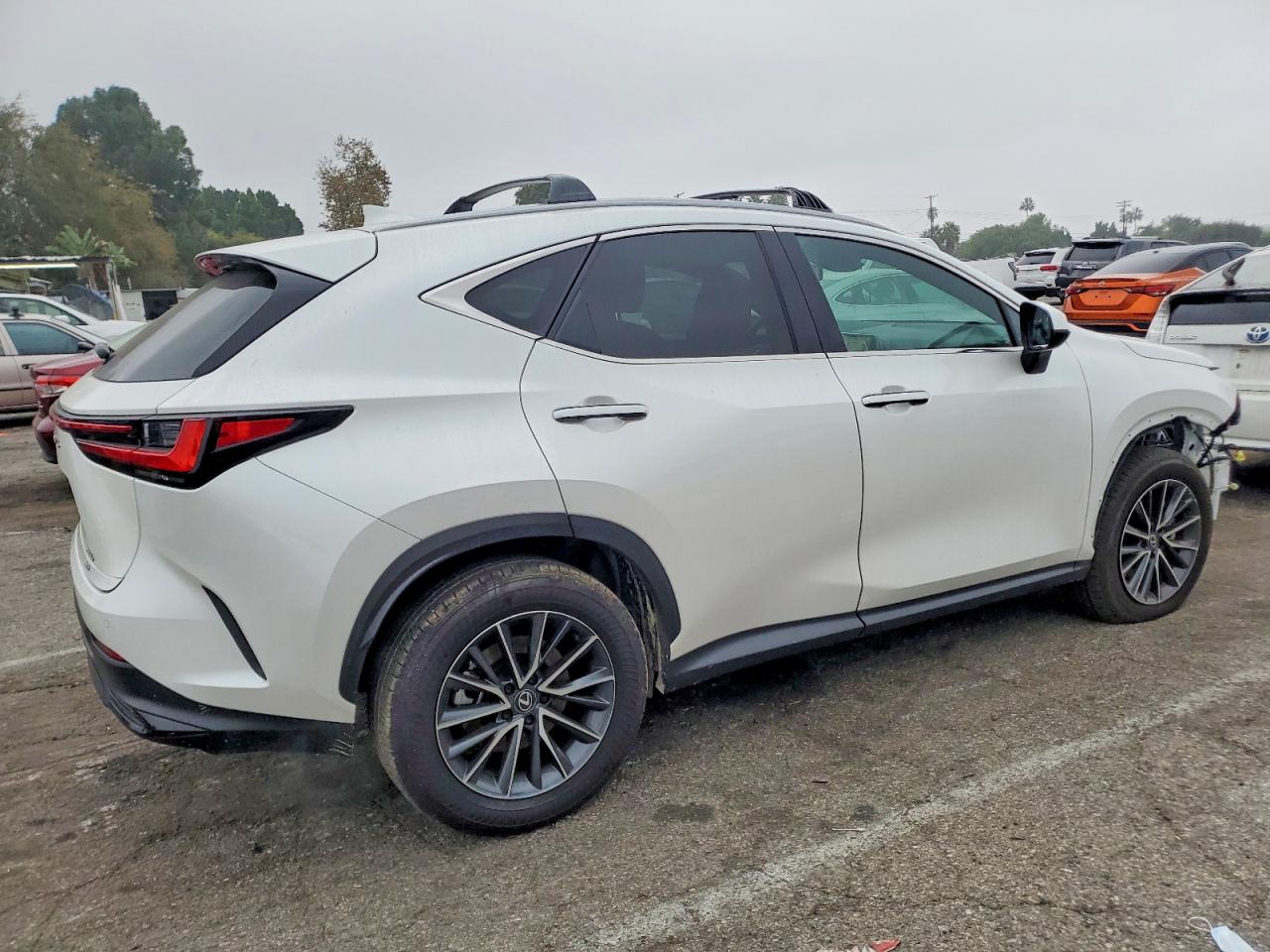 2025 LEXUS NX 250 PREMIUM photo 7