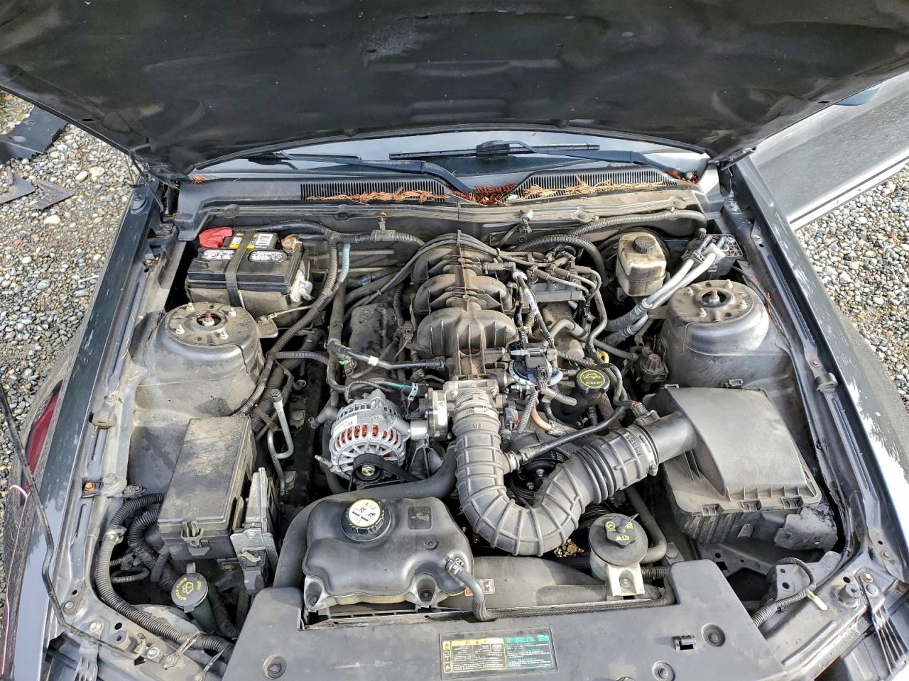 2007 FORD MUSTANG photo 11