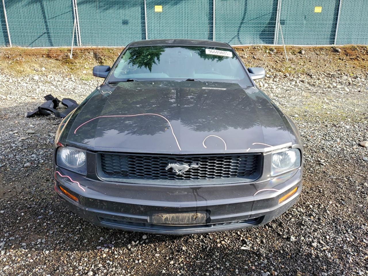 2007 FORD MUSTANG photo 5