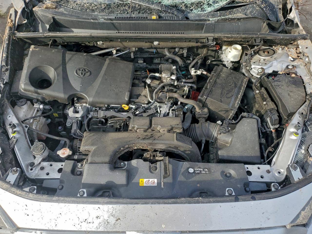 2019 TOYOTA RAV4 LE photo 23