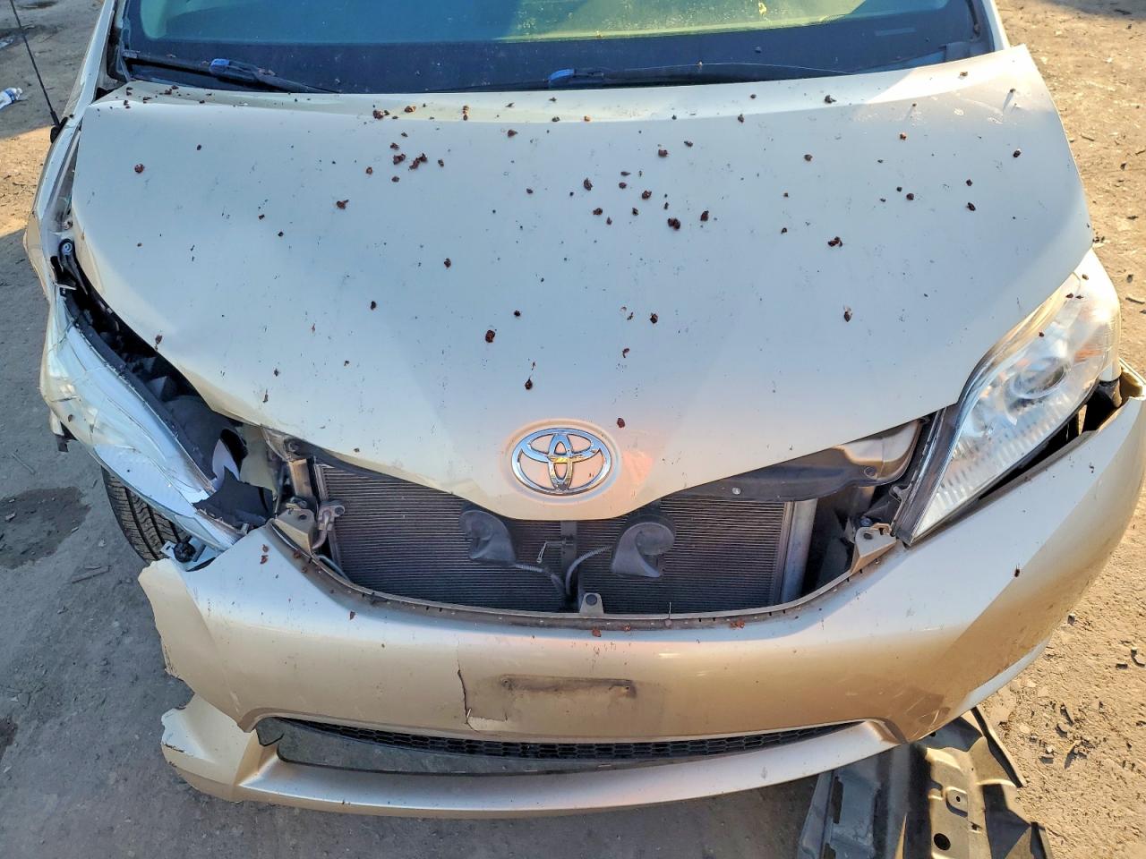 2014 TOYOTA SIENNA LE photo 12