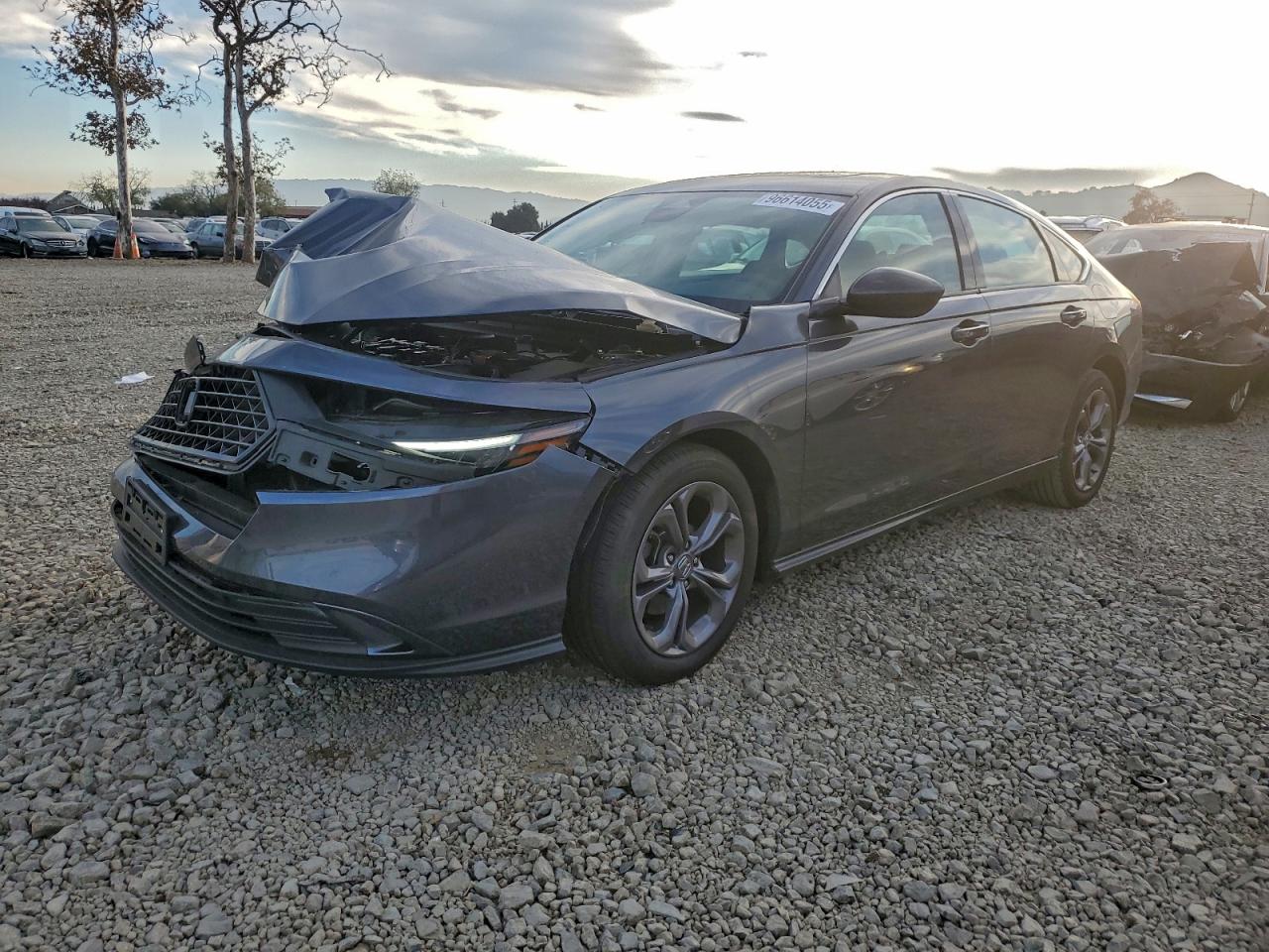 2024 HONDA ACCORD