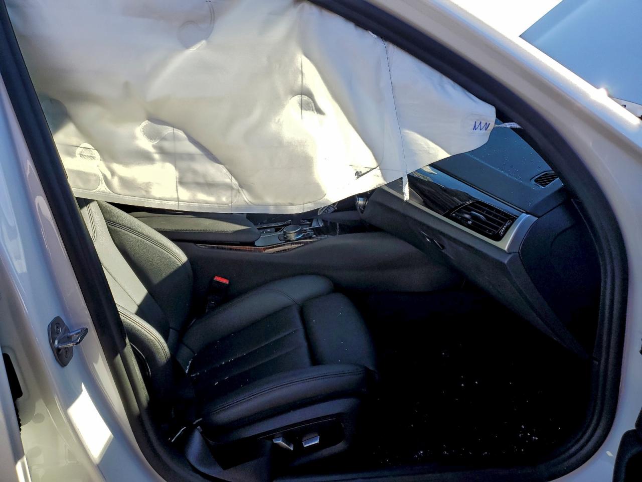 2019 BMW 530E photo 7