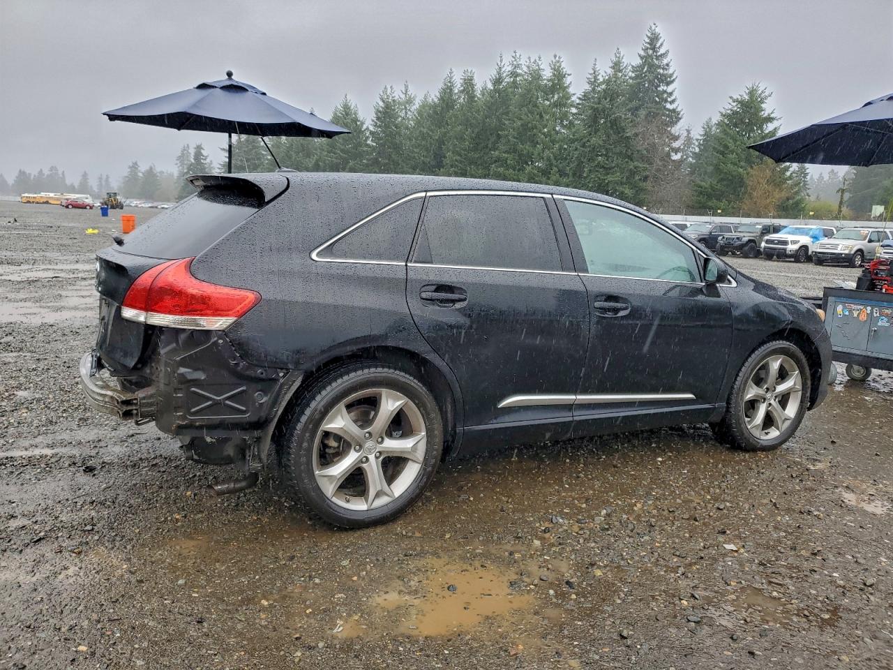 2010 TOYOTA VENZA photo 3