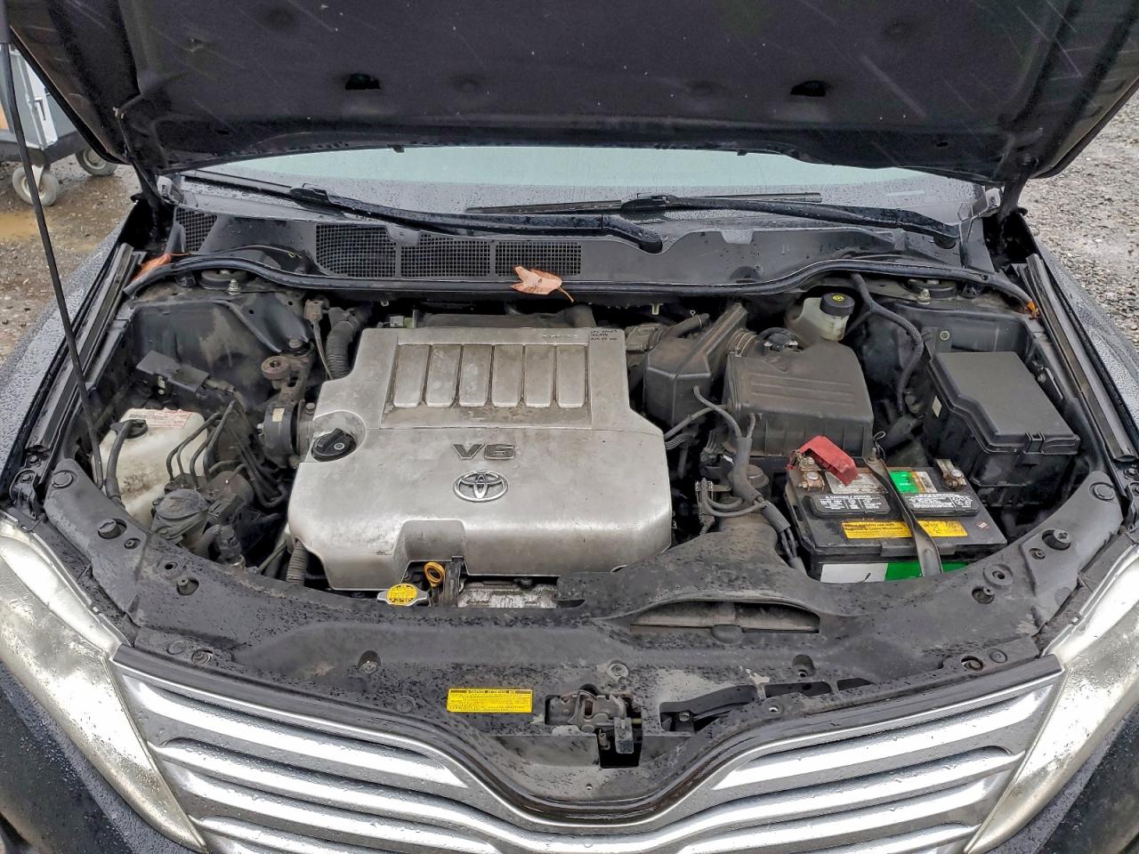 2010 TOYOTA VENZA photo 12