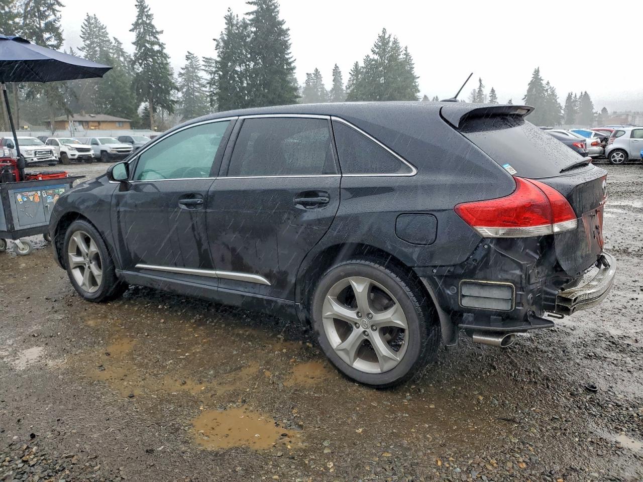 2010 TOYOTA VENZA photo 2