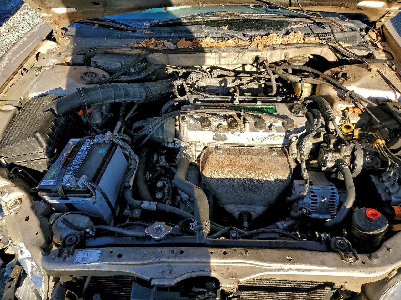 2000 HONDA ACCORD SE photo 11