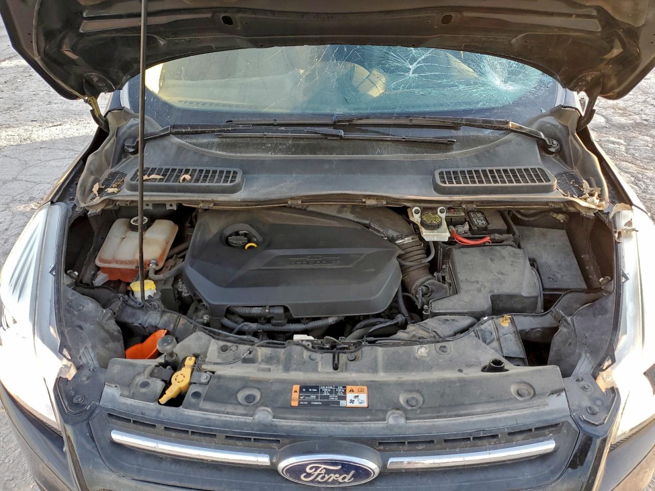 2014 FORD ESCAPE SE photo 12