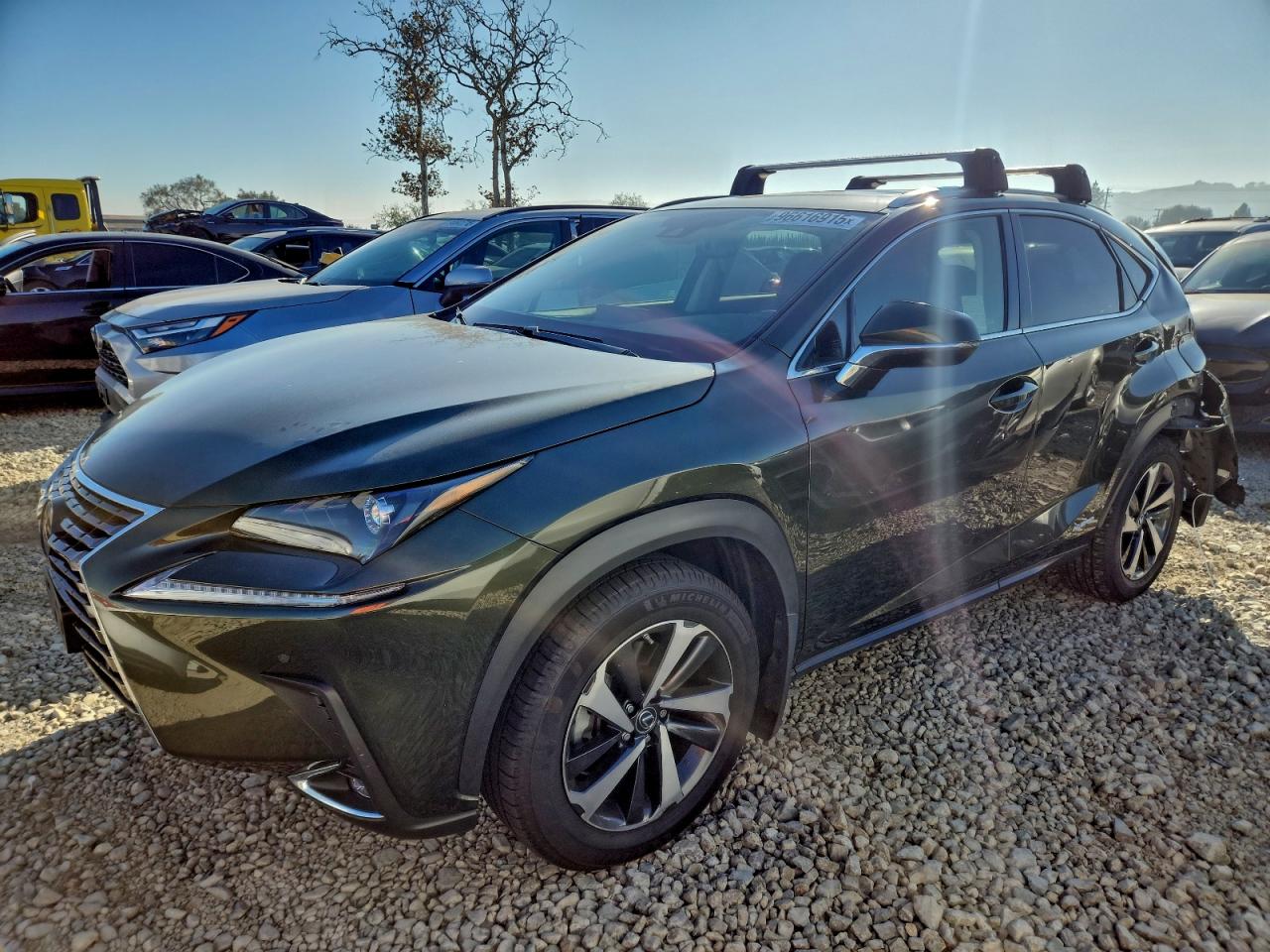 2021 LEXUS NX 300H BASE — REAR END damage — photo 1