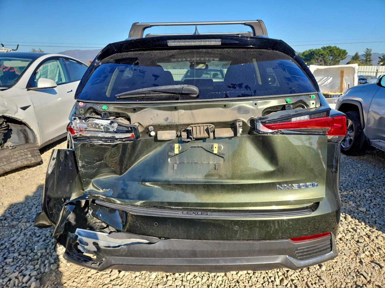 2021 LEXUS NX 300H BASE photo 6