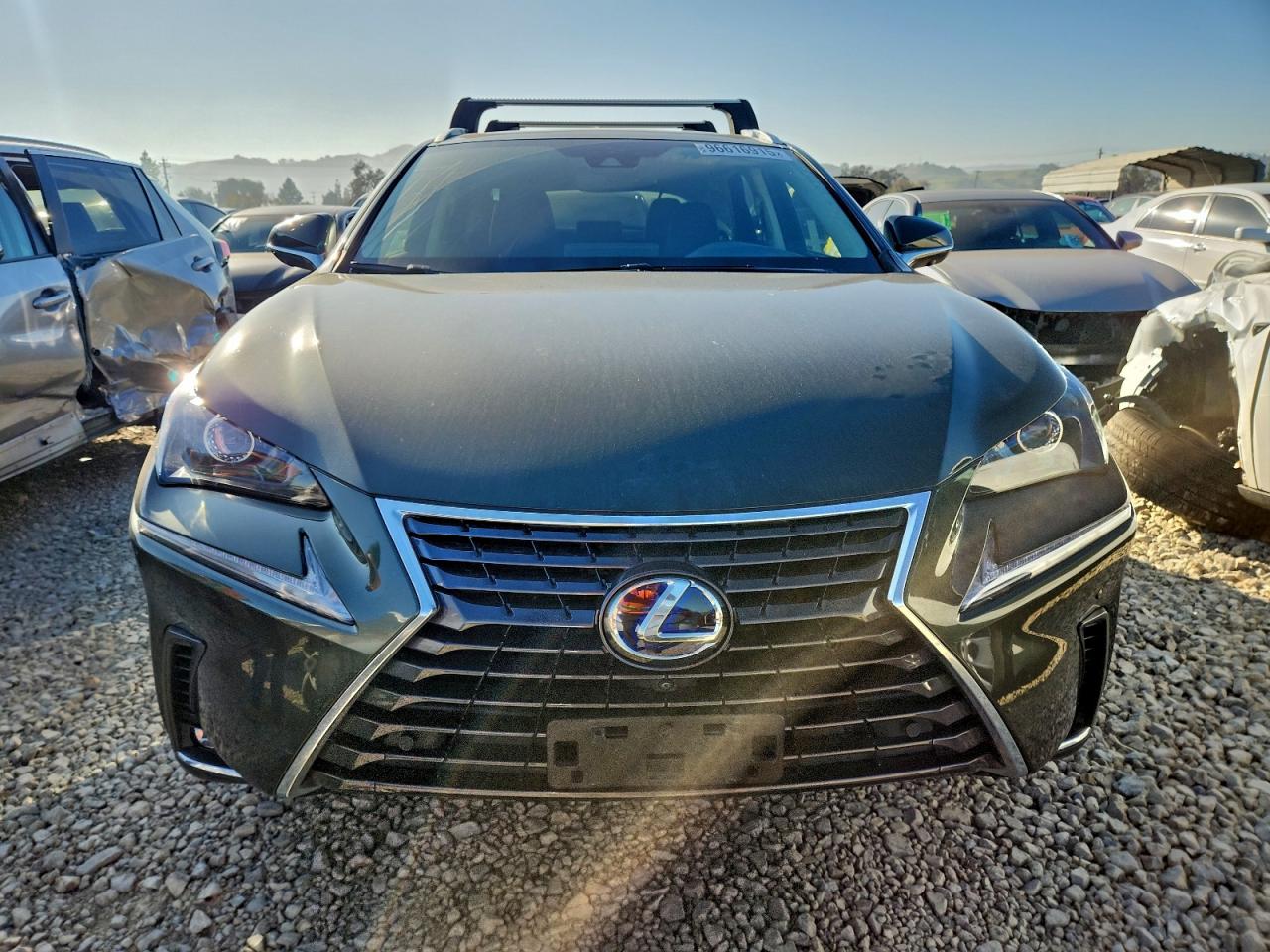 2021 LEXUS NX 300H BASE photo 5