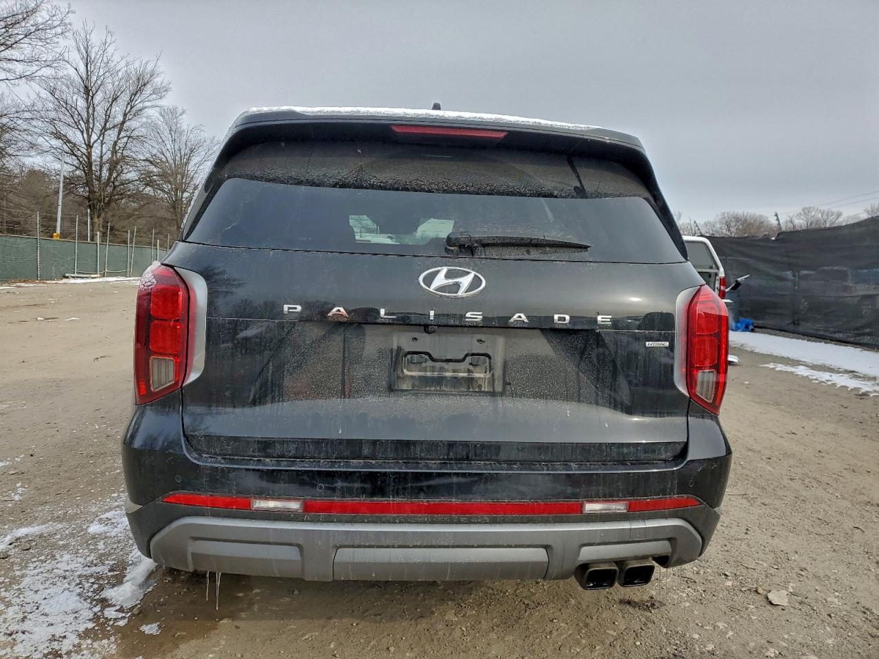 2024 HYUNDAI PALISADE LIMITED photo 6